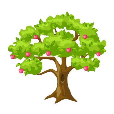 Elmalı ve yapraklı yaz ağacı. Mevsimsel doğa illüstrasyonu.