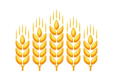 Olgun buğday kulağı tasviri. Tarım doğal amblemi.