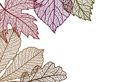 Sonbahar yapraklı kart. Düşen yaprakların arkaplanı.