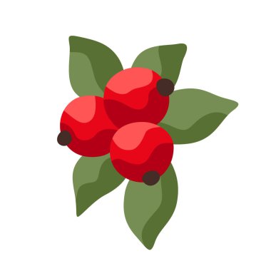 Olgun kızılcıkların çizgi film çizimi. Sonbahar meyveleri.