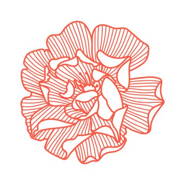 Narin bir gül resmi. Güzel dekoratif stilize yaz çiçeği.