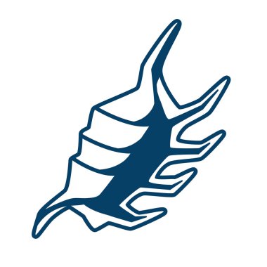 Deniz kabuğu tasviri. Tropik sualtı dekoratif yumuşakça kabuğu.