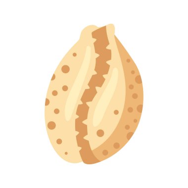 Deniz kabuğu tasviri. Tropik sualtı dekoratif yumuşakça kabuğu.