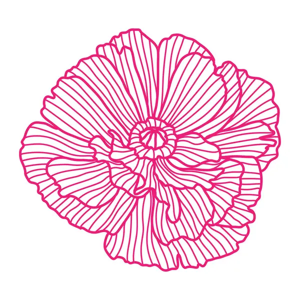 Haşhaş resmi. Güzel dekoratif stilize yaz çiçeği.