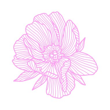 Doğrusal şakayık tasviri. Güzel dekoratif stilize yaz çiçeği.