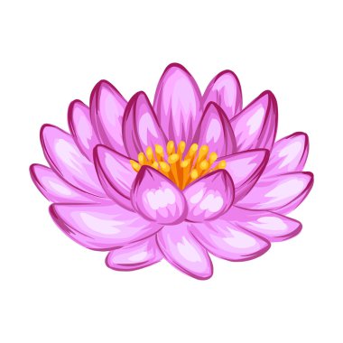Nilüfer çiçeğinin resmi. Su zambağı dekoratif görüntüsü. Doğal tropikal bitkiler.