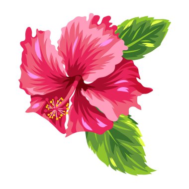 Tropikal amber çiçeği tasviri. Dekoratif egzotik bitki.