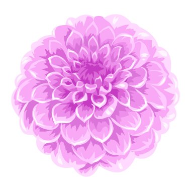 Tomurcuk açan paskalya çiçeğinin resmi. Dekoratif güzel bitki.