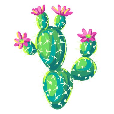 Kaktüs tasviri. Dekoratif dikenli Meksika kaktüsü. Doğal görüntü.