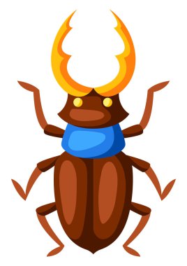 Renkli böceğin tasviri. Şekillendirilmiş dekoratif renk böceği.