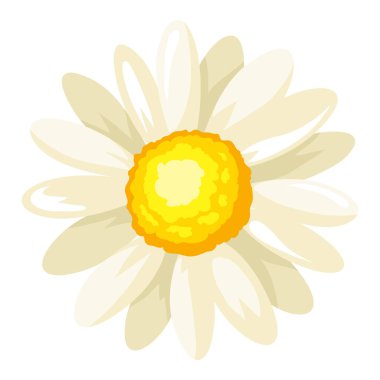 Papatya çiçeğinin resmi. Endüstri ve iş dünyası için ikon veya imaj reklam ediliyor.