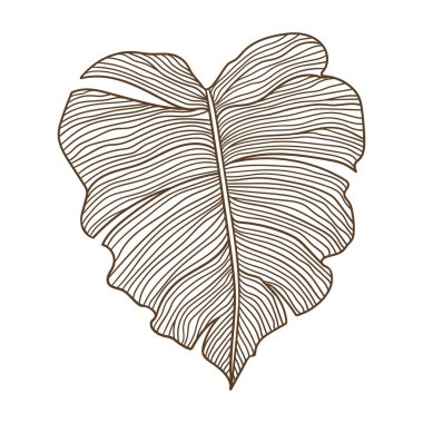 Şekillendirilmiş palmiye yaprağı. Tropikal yeşillik ve bitkinin dekoratif görüntüsü. Doğrusal doku.