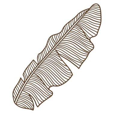 Muzlu palmiye yaprağının tasviri. Tropikal yeşillik ve bitkinin dekoratif görüntüsü. Doğrusal doku.