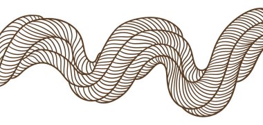 Yaban lianası dalları. Orman sarmaşıkları. Woody doğal tropikal yağmur ormanı.