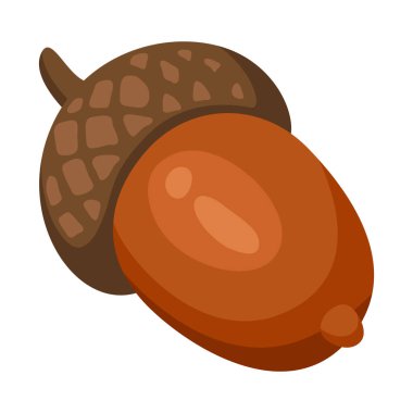 Palamut resmi. Dekoratif sonbahar bitkisi. Tasarım için doğa ögesi.