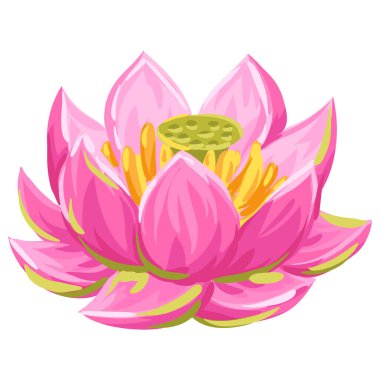 Nilüfer çiçeğinin resmi. Su zambağı dekoratif görüntüsü. Doğal tropikal bitkiler.