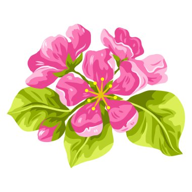 Güzel sakura ya da kiraz tomurcuğu tasviri. Çiçek açan Japon çiçeği. Tasarım ve dekorasyon için elle çizilmiş bitki.