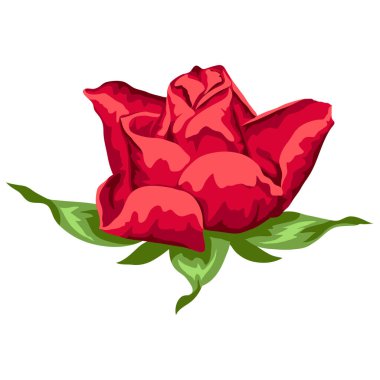 Gerçekçi gülün güzel bir tasviri. Tasarım ve dekorasyon için Bud. El yapımı bitki.