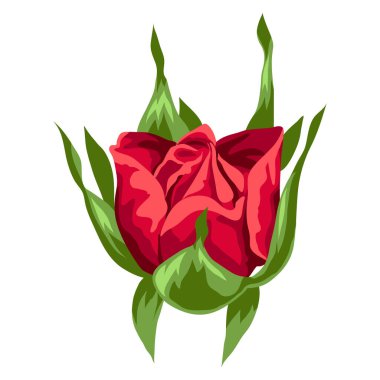 Gerçekçi gülün güzel bir tasviri. Tasarım ve dekorasyon için Bud. El yapımı bitki.