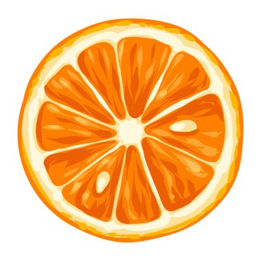 Portakalın stilize edilmiş çizimi. Tasarım ve dekorasyon için görüntü. Elle çizilmiş nesne ya da simge.