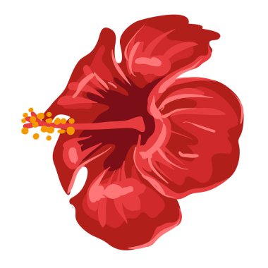 Amfibik çiçeğin stilize edilmiş çizimi. Tasarım ve dekorasyon için görüntü. Elle çizilmiş nesne ya da simge.