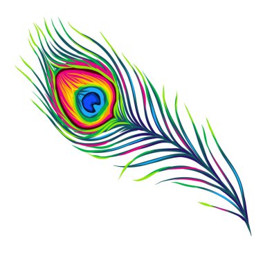 Stylized illustration of peacock feather. Image for design and decoration. Object or icon in hand drawn style. clipart