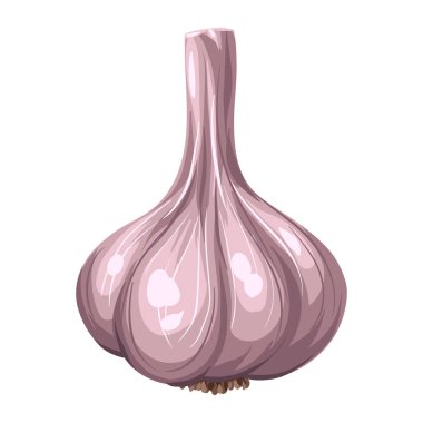 Sarımsağın stilize edilmiş çizimi. Tasarım ve dekorasyon için görüntü. Elle çizilmiş nesne ya da simge.