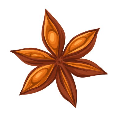 Yıldız anasonunun stilize edilmiş illüstrasyonu. Tasarım ve dekorasyon için görüntü. Elle çizilmiş nesne ya da simge.