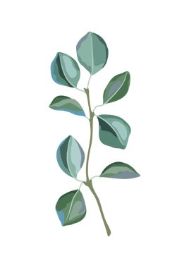 Kavak dalı ve yeşil yaprakların yansıması. Bahar ya da yaz stilize yapraklar. Mevsimlik bitki görüntüsü.