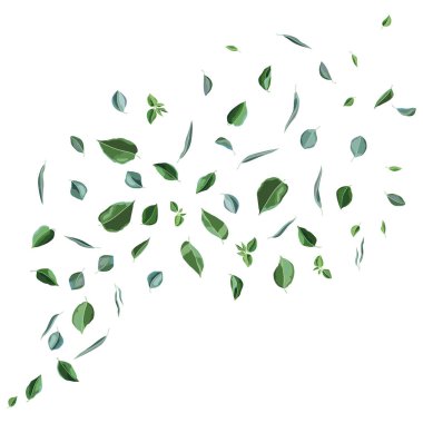 Yeşil yapraklı kart ya da arka plan. Bahar ya da yaz stilize yapraklar. Mevsimsel illüstrasyon.