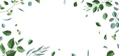 Kart ya da arka planda dallar ve yeşil yapraklar. Bahar ya da yaz stilize yapraklar. Mevsimsel illüstrasyon.