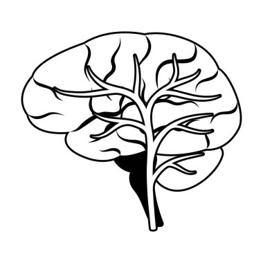 Beyin iç organının yansıması. İnsan vücudu anatomisi. Sağlık ve Tıp Eğitimi ikonu.