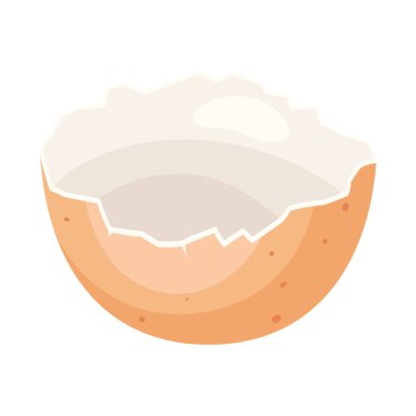 Kırık tavuk yumurtası kabuğunun resmi. Gastronomi, gıda ve tarım endüstrisi için görüntü.