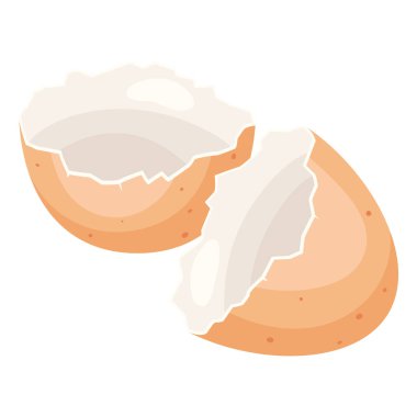 Kırık tavuk yumurtası kabuğunun resmi. Gastronomi, gıda ve tarım endüstrisi için görüntü.