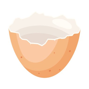 Kırık tavuk yumurtası kabuğunun resmi. Gastronomi, gıda ve tarım endüstrisi için görüntü.