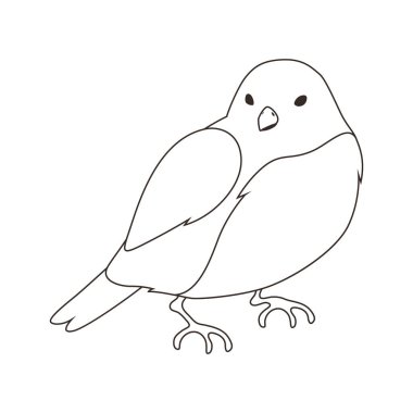 Illustration of stylized bird. Image of wild birdie in linear style. Vector icon.
