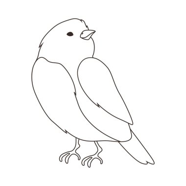 Illustration of stylized bird. Image of wild birdie in linear style. Vector icon.