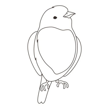 Illustration of stylized bird. Image of wild birdie in linear style. Vector icon.