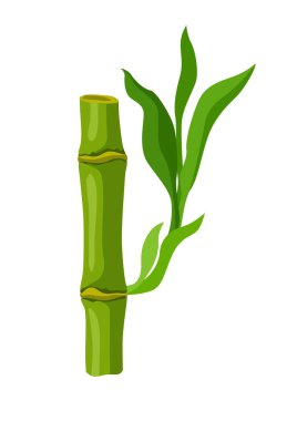Yeşil bambu sapı ve yaprakların resmi. Tropik ormanın dekoratif egzotik bitkileri. Doğal görüntü.