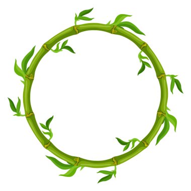 Yeşil bambu saplı ve yapraklı çerçeve. Tropik ormanın dekoratif egzotik bitkileri. Doğal illüstrasyon.