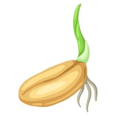 Tohum ekmek için tohum ektim. Tarım ekimi illüstrasyonu. Mevsimlik tarla imajı.