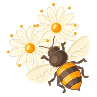 Illustration of bee on linden flowers. Image for business, food and agricultural industry. clipart