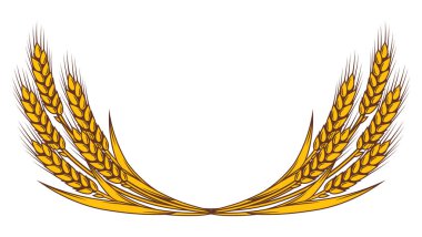 Bir demet buğday. Arpa ya da çavdardan yapılmış doğal altın kulaklı tarım imajı.