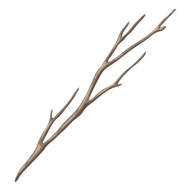 Kuru bir dalın resmi. Dekoratif doğal dal. Sonbahar ya da kış bitkisi.