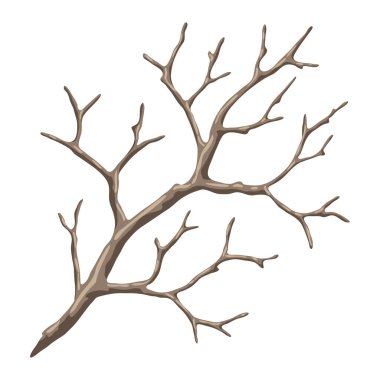 Kuru bir dalın resmi. Dekoratif doğal dal. Sonbahar ya da kış bitkisi.