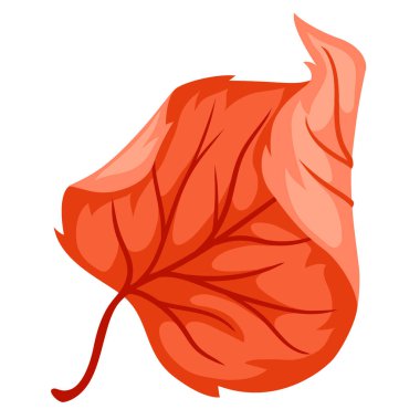 Sonbahar ıhlamur yaprağının resmi. Tarz verilmiş mevsimlik kuru bitki.