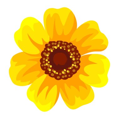 Zinya çiçeğinin resmi. Güzel bir sonbahar bitkisi. Doğal görüntü.