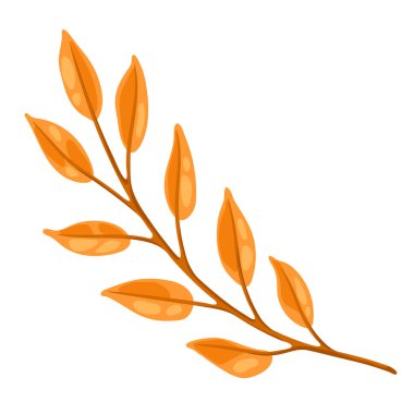 Rowan filizinin yapraklı hali. Mevsimlik sonbahar bitkisinin resmi.