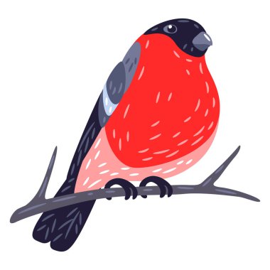 Güzel bir kış kuşu ispinozu resmi. Mevsimlik görüntü. Tatil tasarımı.