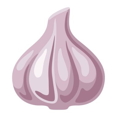 Sarımsak tasviri. Aşçılık ve tarım üretimi için görüntü.